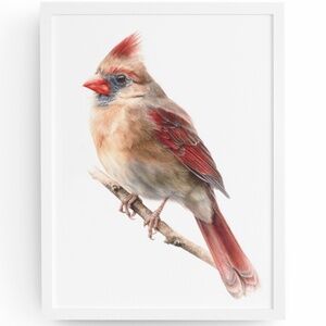 Watercolor Female Cardinal Bird Wall Art Print Unframed
